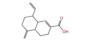 Dihydrokhusilal acid